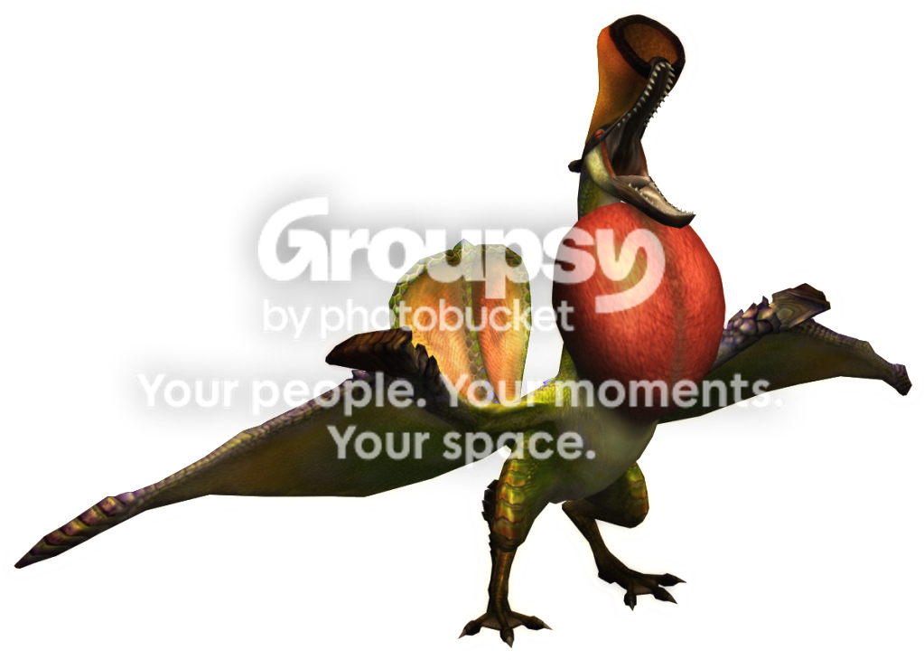 User Image